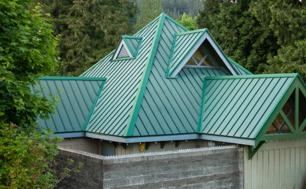 Best Skylight Installation and Repair  in Watkinsville, GA